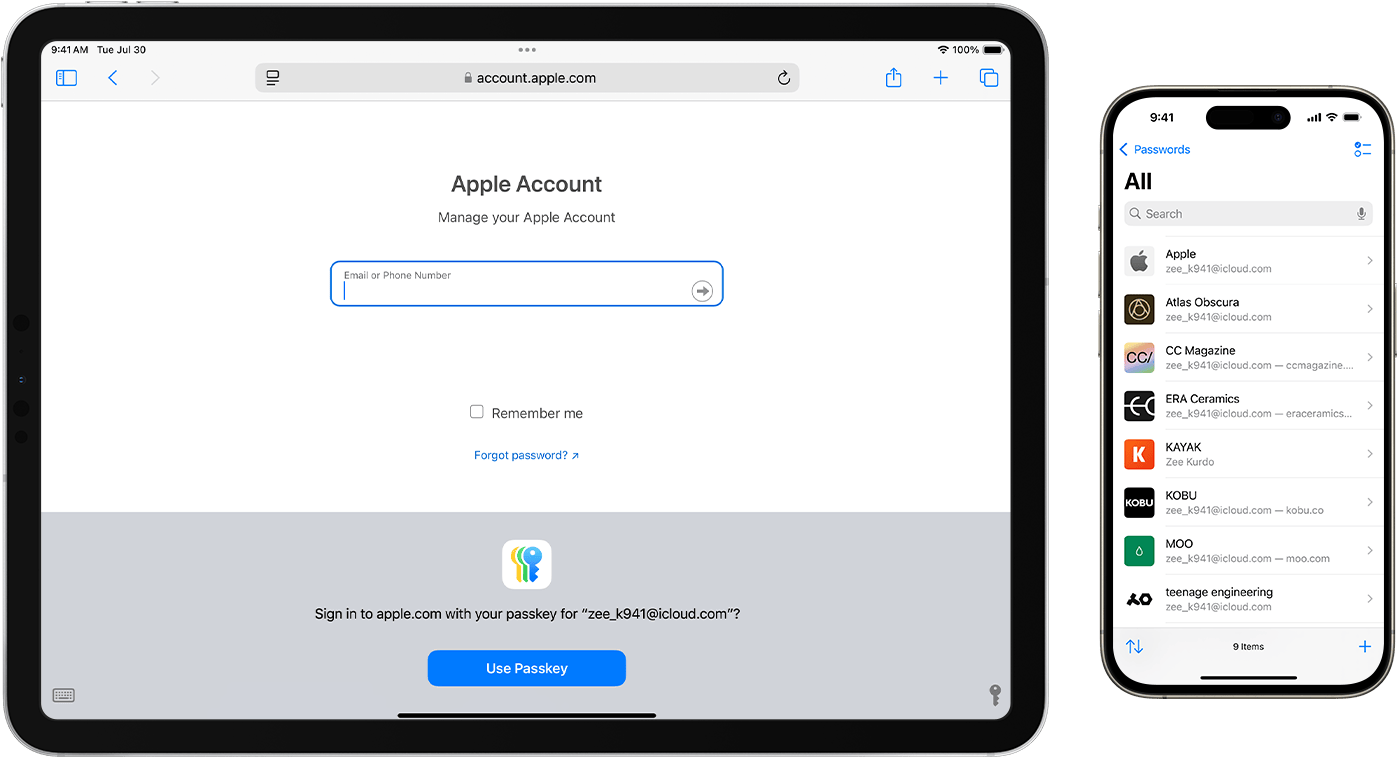Tela oficial do app Passwords da Apple em iPhone e iPad.