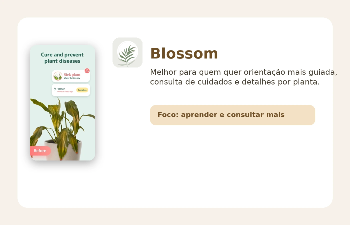 Tela do app Blossom com lembretes de cuidados, identificação e informações detalhadas sobre plantas.