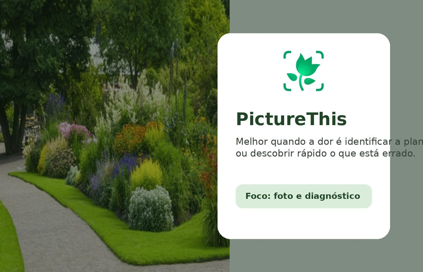 Tela do app PictureThis com identificação de planta e recursos de diagnóstico de problemas.
