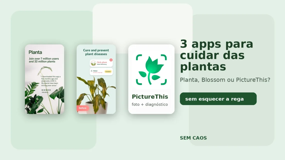 Comparativo entre Planta, Blossom e PictureThis para cuidar das plantas da casa.