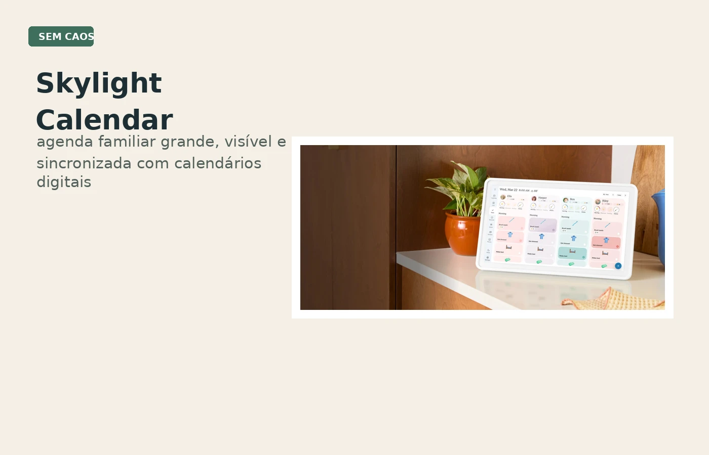 Skylight Calendar exibindo uma agenda familiar em tela grande.